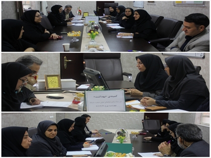 نهمین زیر کمیته بهداشت ذیل ستاد مرکزی هماهنگی جوانی جمعیت در معاونت بهداشت برگزار شد