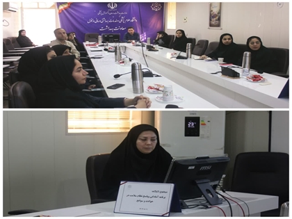 برگزاری کارگاه برنامه ملی آمادگی و پاسخ نظام سلامت در حوادث و سوانح در معاونت بهداشت